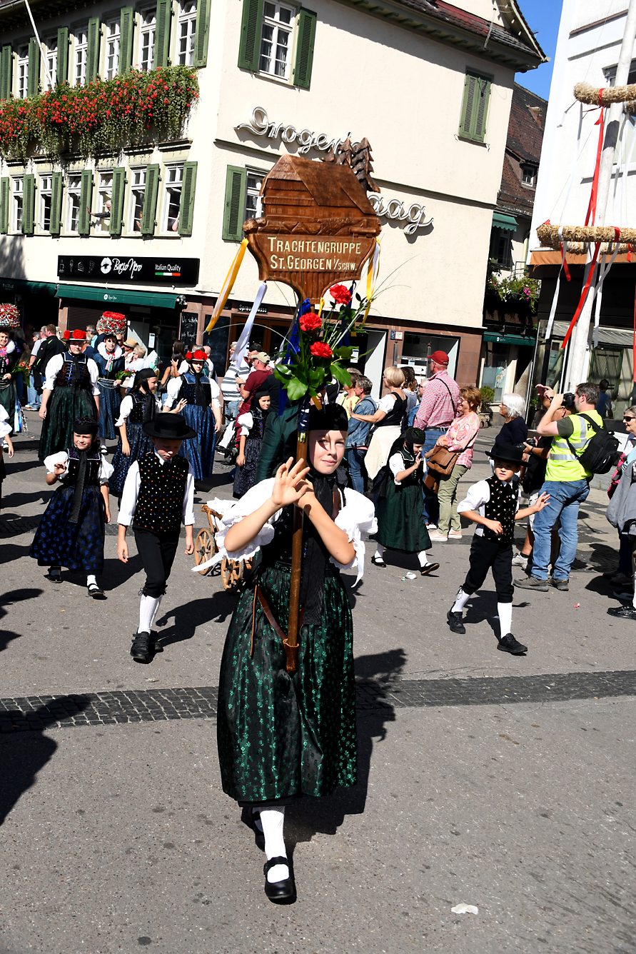 DSC_1106.JPG