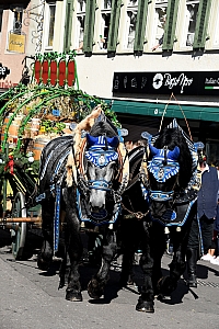 DSC_0947.JPG