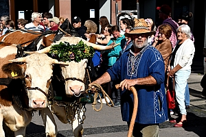 DSC_0954.JPG