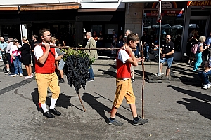 DSC_1147.JPG