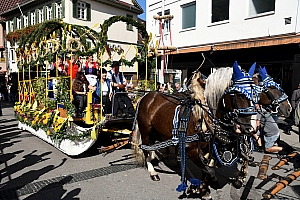 DSC_1149.JPG