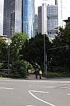 DSC_0607.jpg