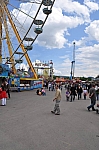 DSC_0484.jpg