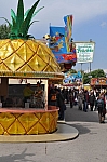 DSC_0573.jpg