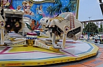 DSC_0599.jpg