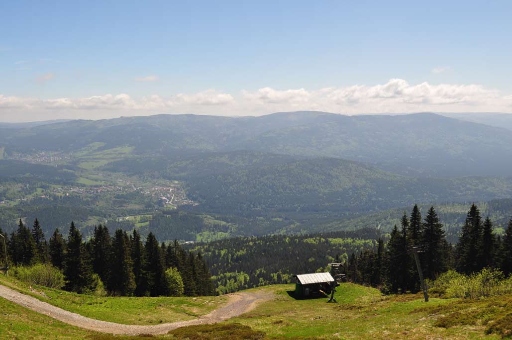 DSC_0297.jpg
