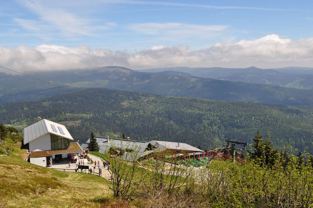DSC_0303.jpg
