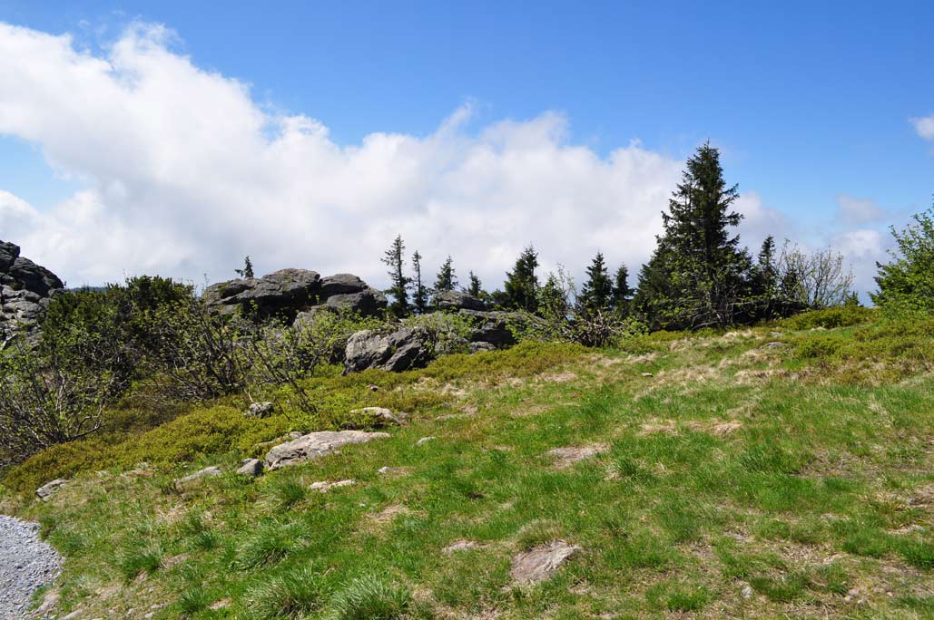 DSC_0312.jpg