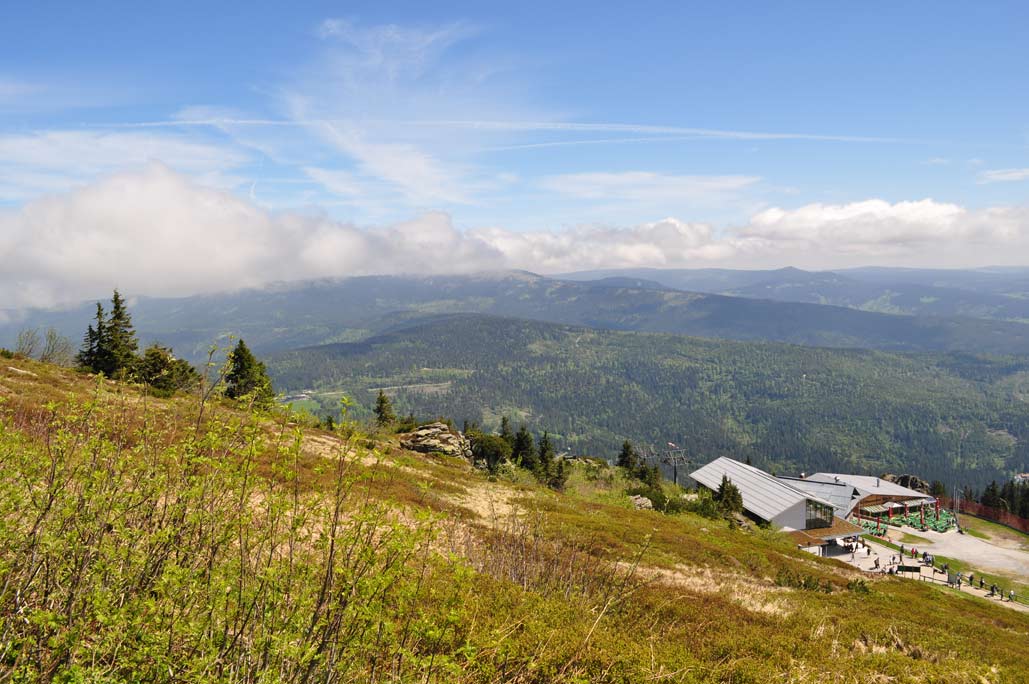 DSC_0317.jpg