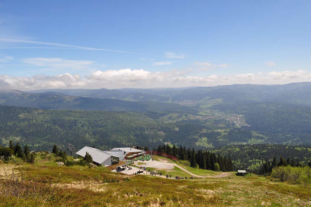 DSC_0318.jpg