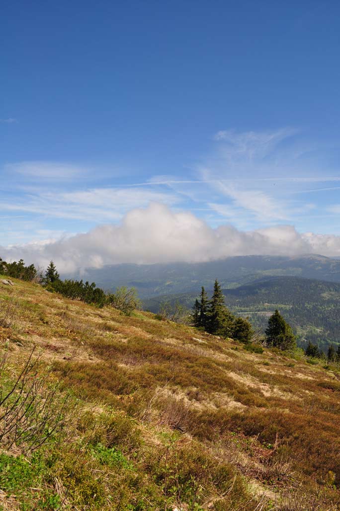 DSC_0320.jpg
