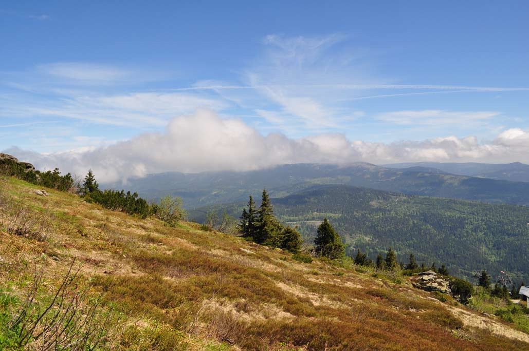 DSC_0321.jpg