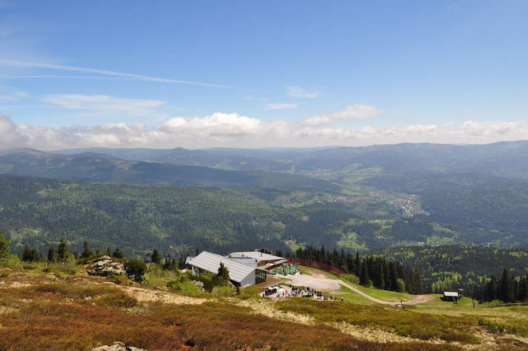 DSC_0324.jpg