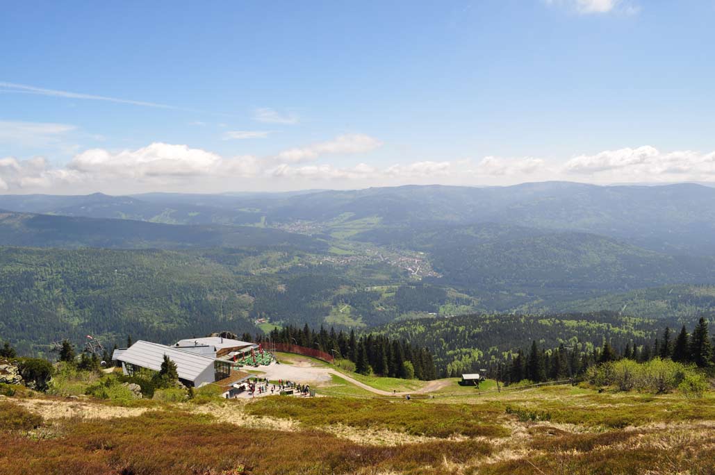 DSC_0326.jpg