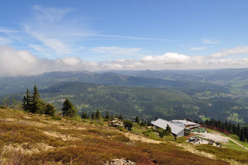 DSC_0329.jpg