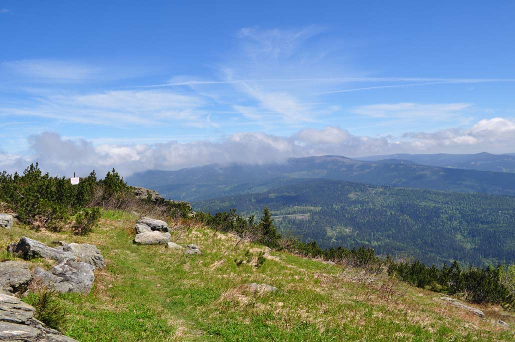 DSC_0338.jpg