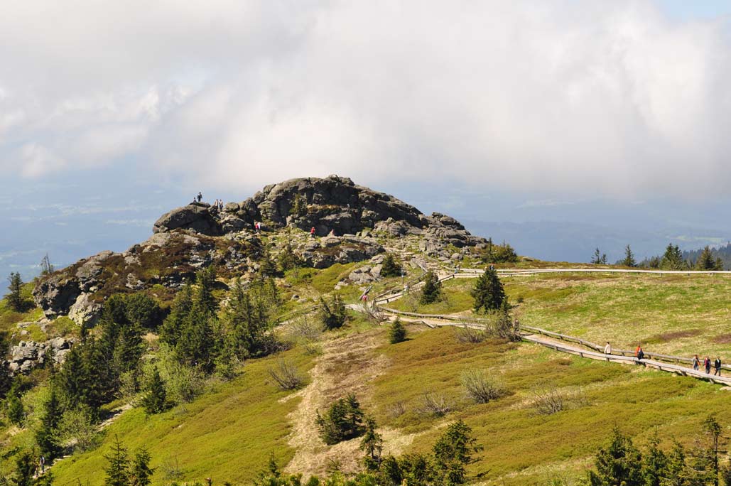 DSC_0344.jpg