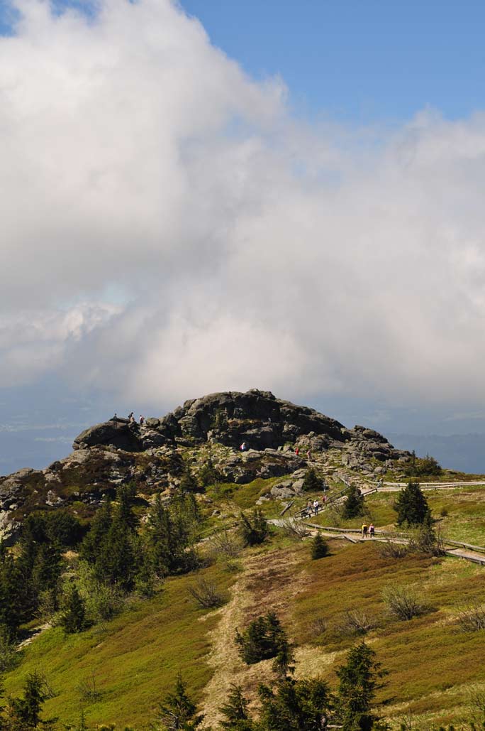 DSC_0345.jpg