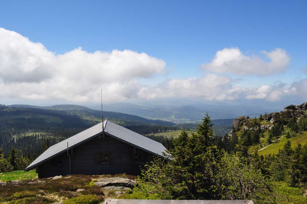 DSC_0350.jpg