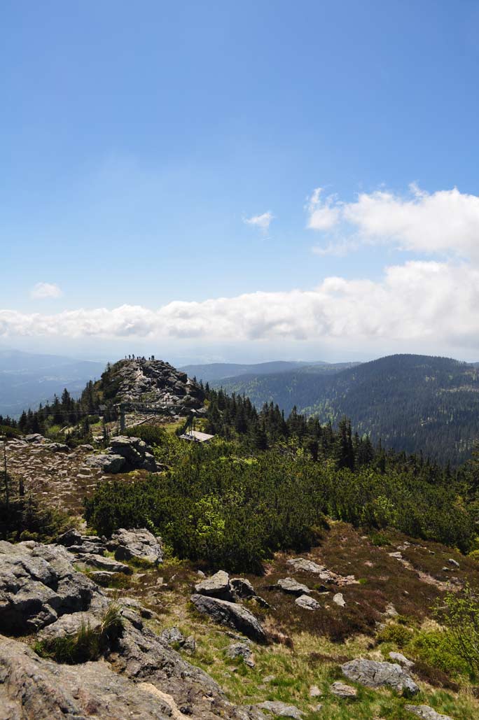 DSC_0355.jpg
