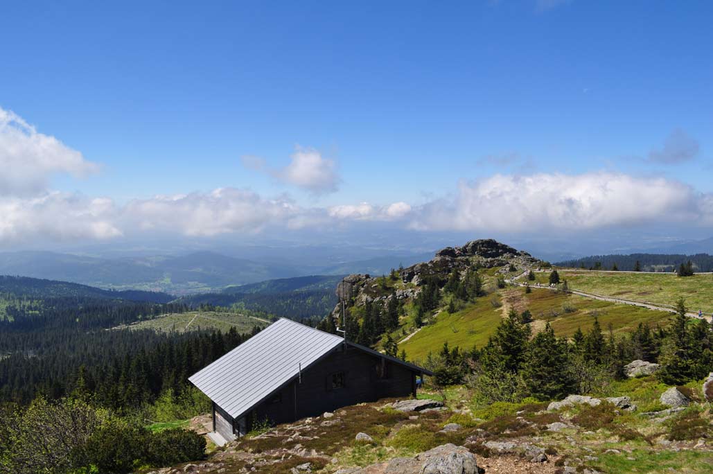 DSC_0362.jpg