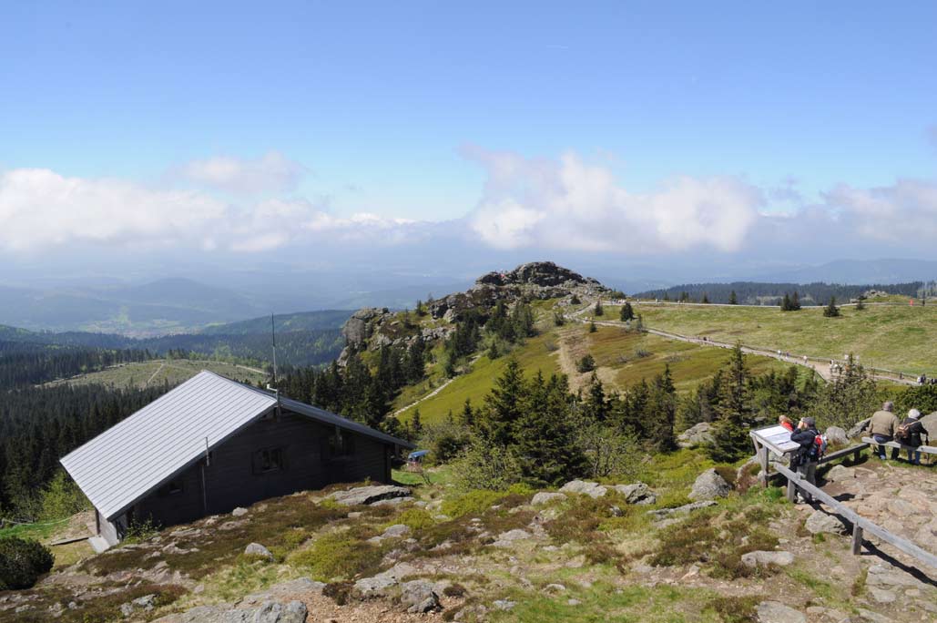 DSC_0375.jpg