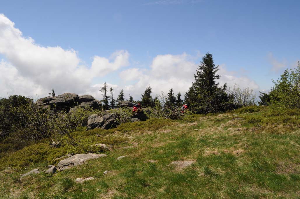DSC_0391.jpg