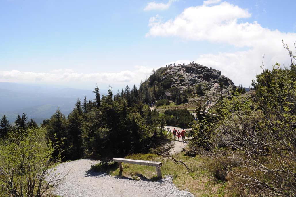 DSC_0395.jpg