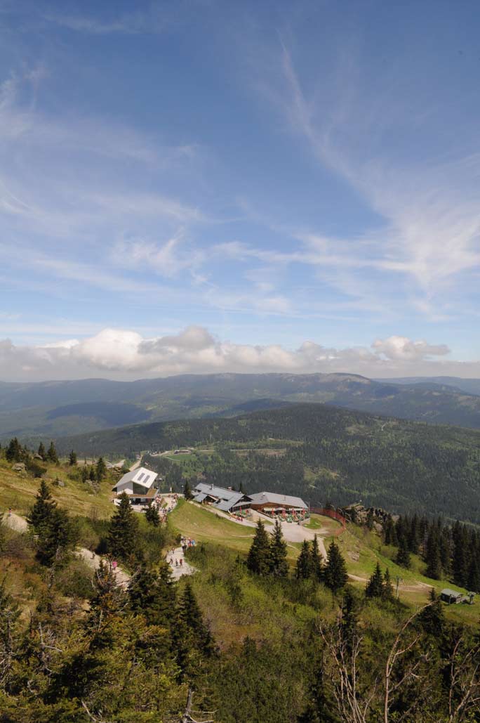 DSC_0420.jpg