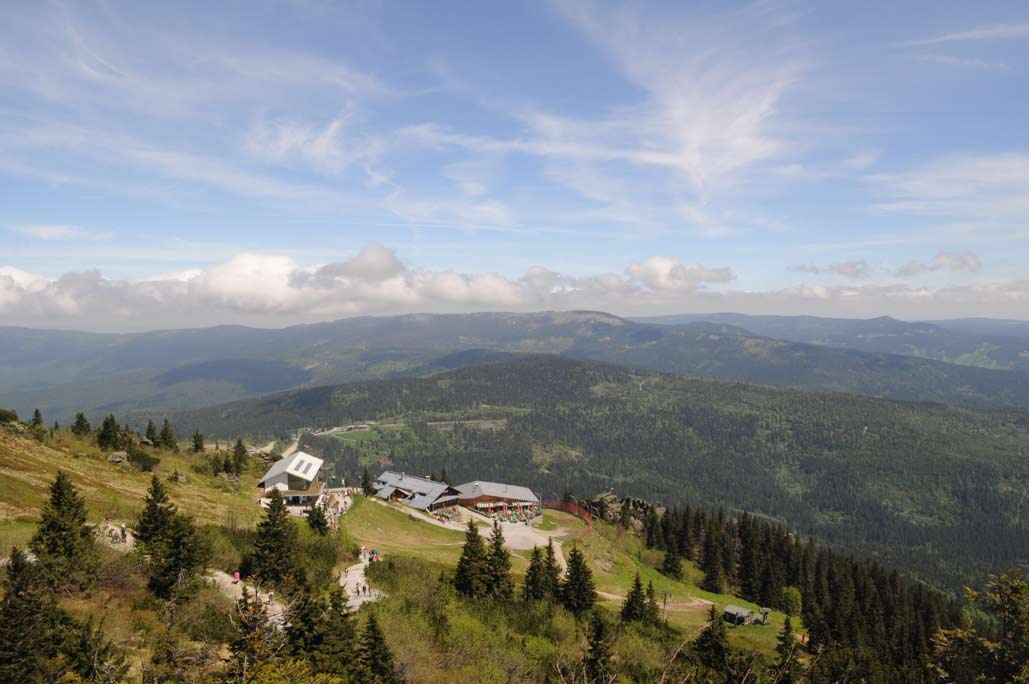 DSC_0421.jpg