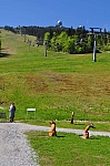 DSC_0274.jpg