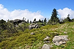 DSC_0309.jpg