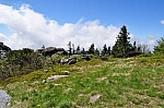 DSC_0312.jpg