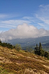 DSC_0319.jpg