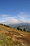 DSC_0320.jpg