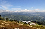 DSC_0323.jpg