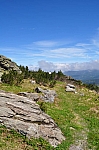 DSC_0336.jpg