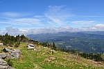 DSC_0338.jpg