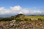 DSC_0346.jpg