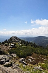 DSC_0355.jpg