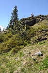 DSC_0386.jpg
