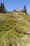 DSC_0387.jpg