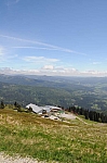 DSC_0390.jpg