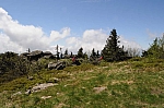 DSC_0391.jpg