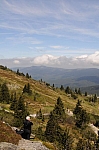 DSC_0419.jpg