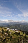 DSC_0420.jpg