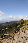 DSC_0422.jpg