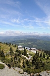DSC_0442.jpg