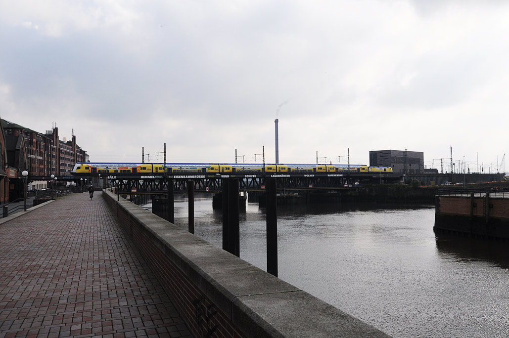 DSC_4428.jpg
