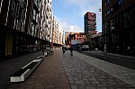 DSC_4331.jpg